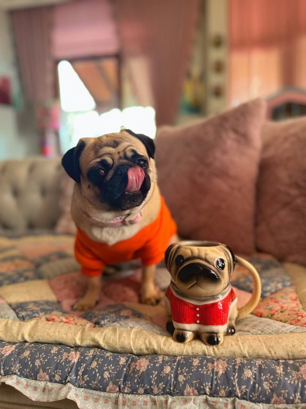 ☕ Evde Kalmayı Sevenler Kulübü