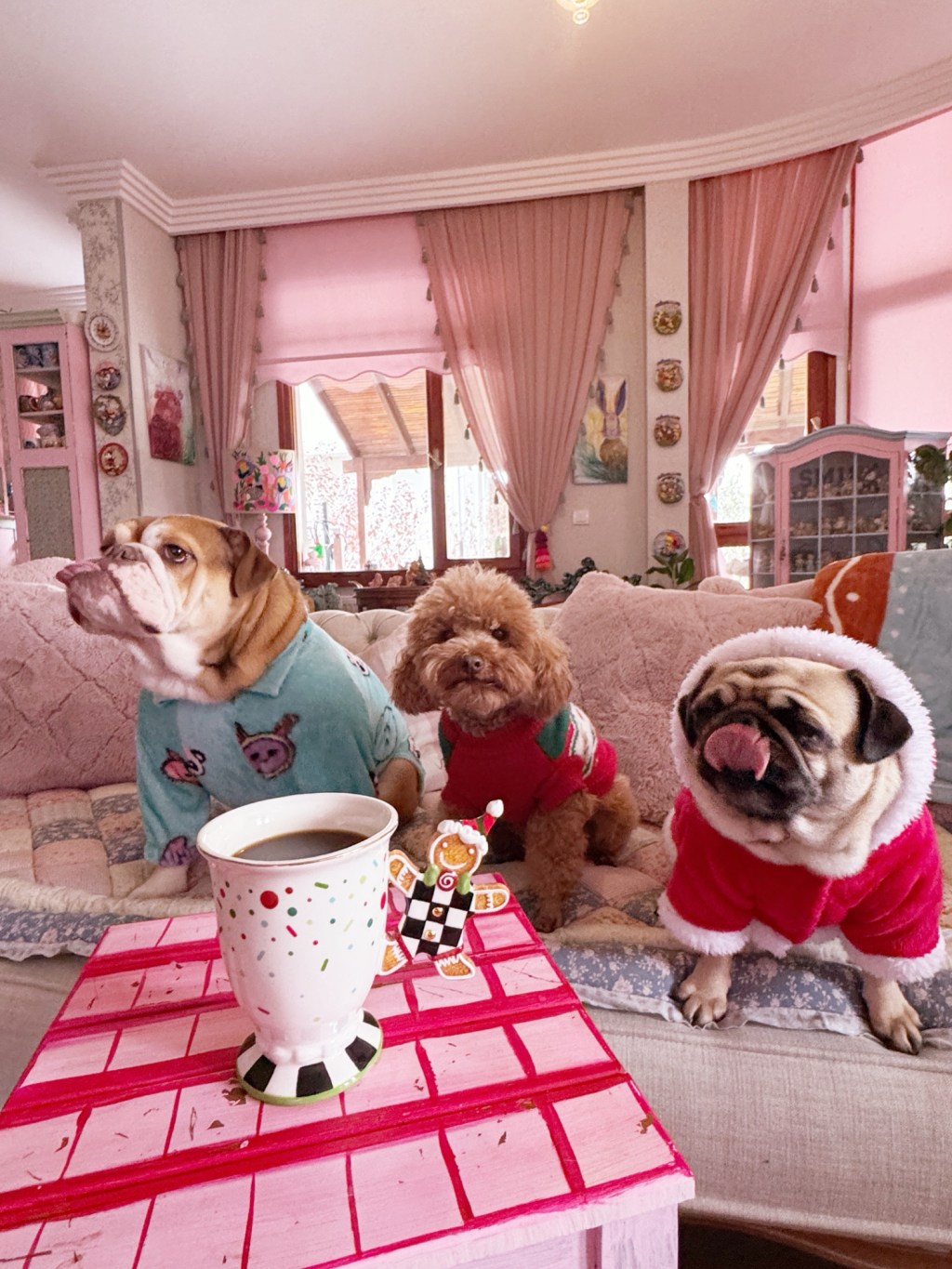 Keeping It Cozy (and Real) with a Full House: Kids, 3 Dogs, and a&nbsp;Cat